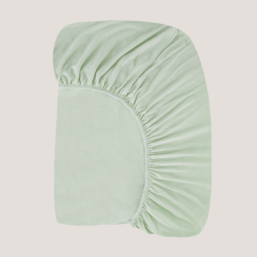 Celadon Sage